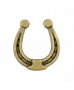 PinMart's Antique Gold Lucky Horseshoe Cowboy Western Lapel Pin: Jewelry